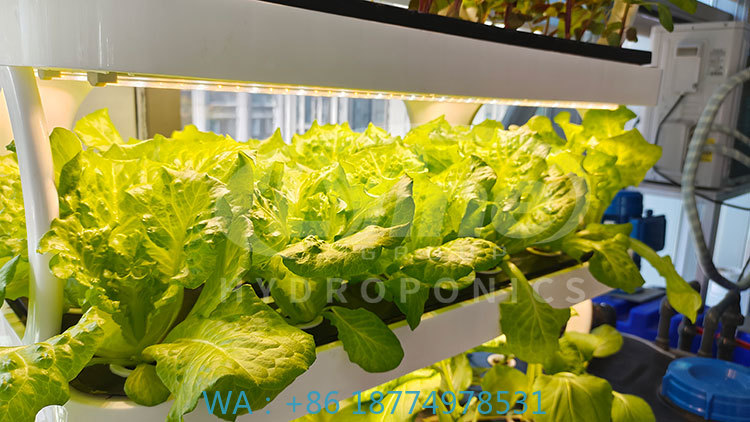 Agriculture Farming Systems - c Máquina agrícola para cultivo de