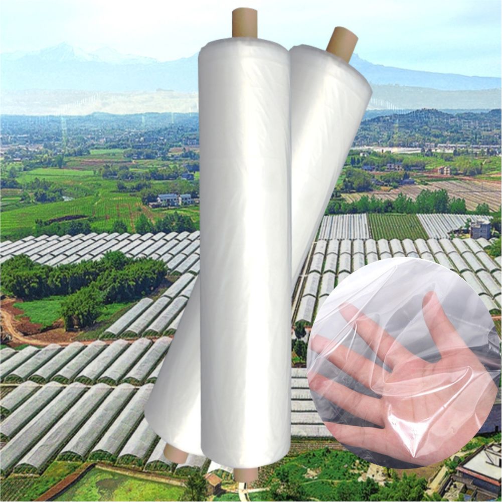 Película plástica para estufa  - Greenhouse Plastic Film avaliação e preço