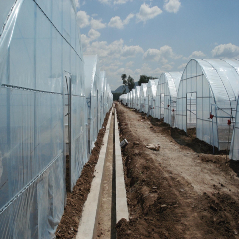Filme Agrícola para Estufas 0. - Greenhouse Plastic Film avaliação e preço