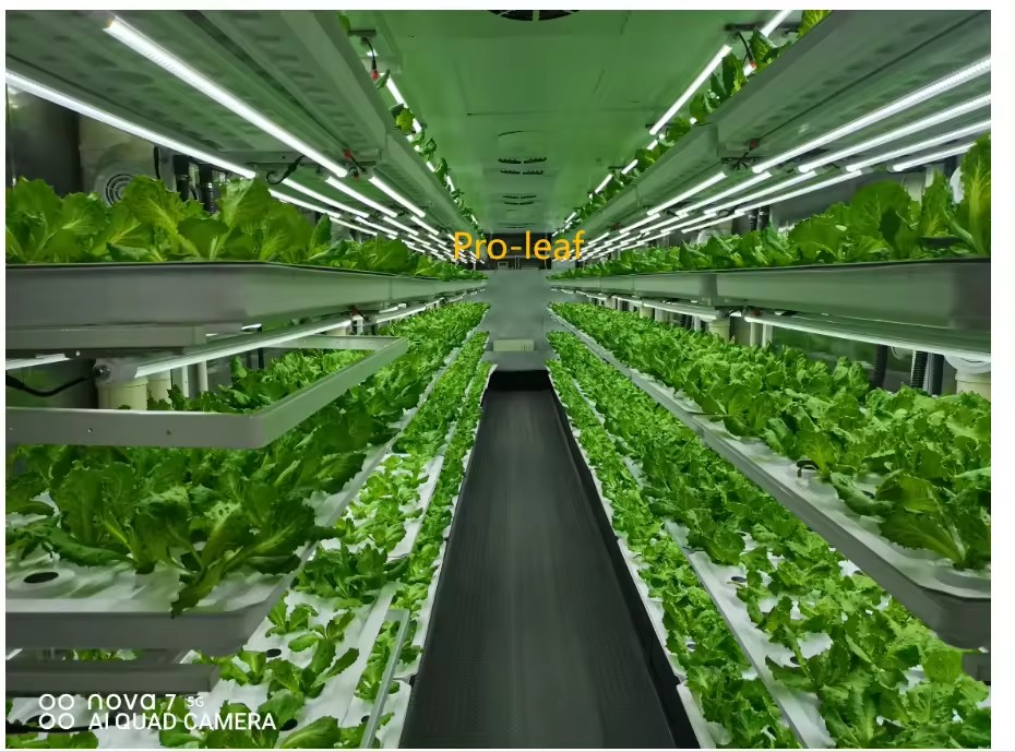 F Estufa Equipamento Agrícola  - Agriculture Farming Systems avaliação e preço