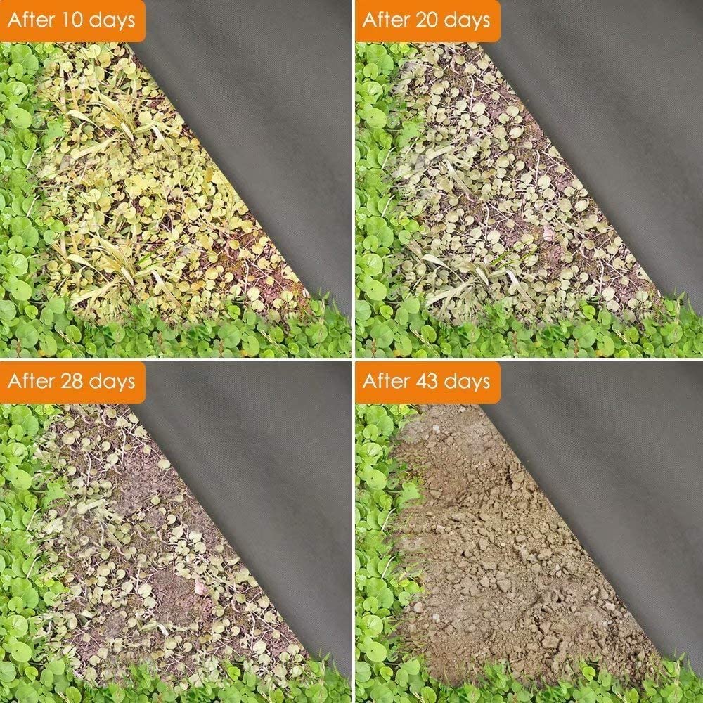 Tecido de paisagem de barreira - Greenhouse Plastic Film avaliação e preço
