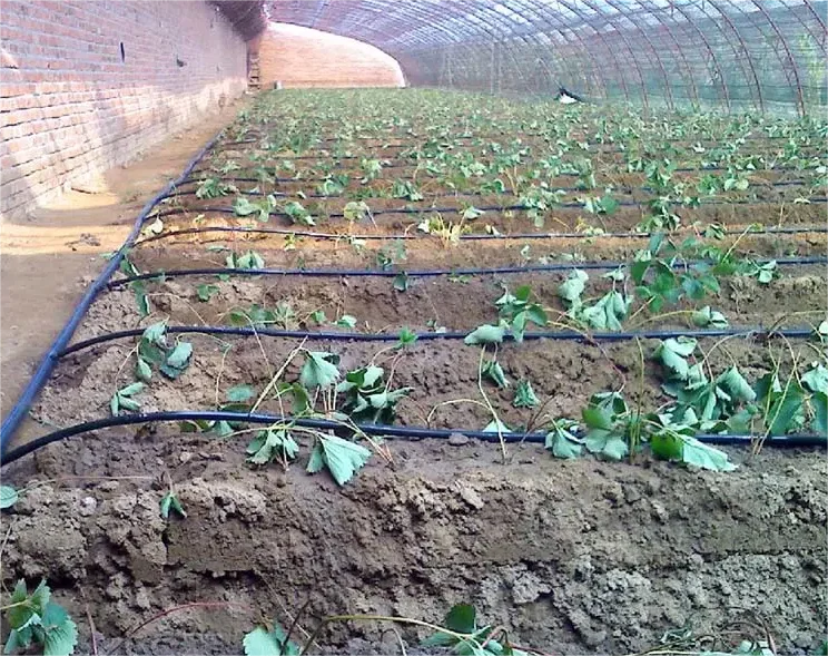 Kit de Irrigação 1HA Ferrament - Agriculture Farming Systems avaliação e preço