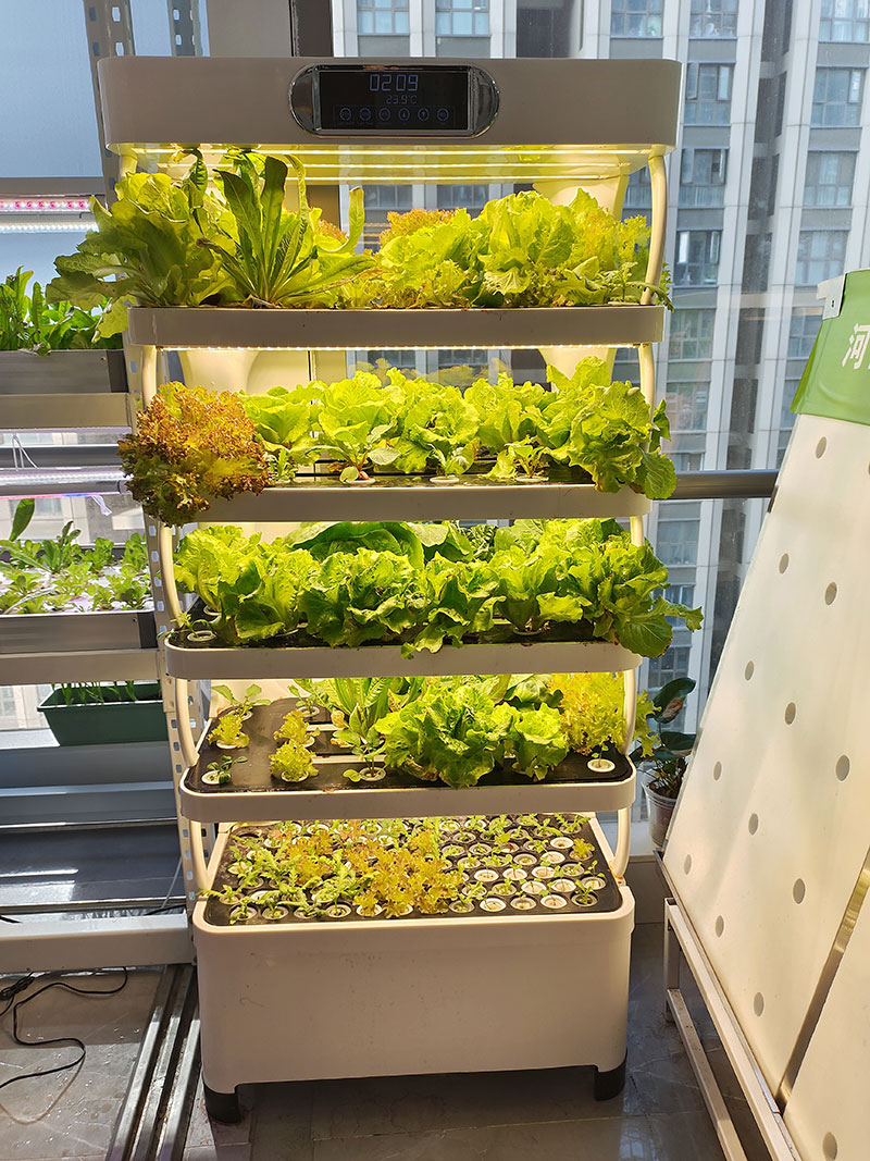 c Máquina agrícola para cultiv - Agriculture Farming Systems avaliação e preço